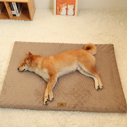 Iron Paw 3D Foam Pet Bed with Removable Faux Fur Cover