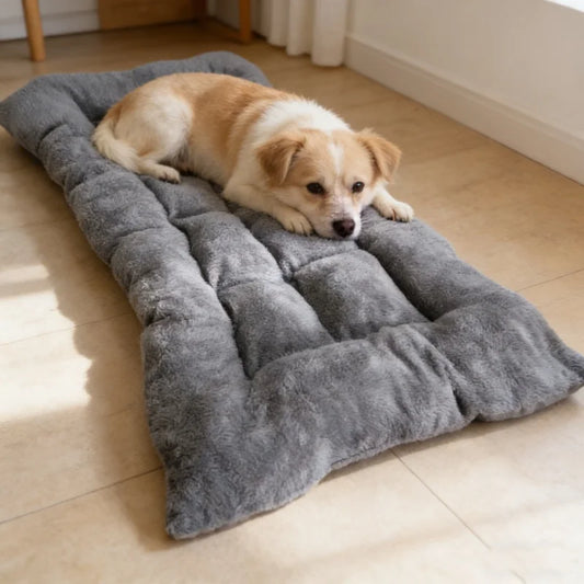 Iron Paw Plush Cotton Pet Sofa Bed