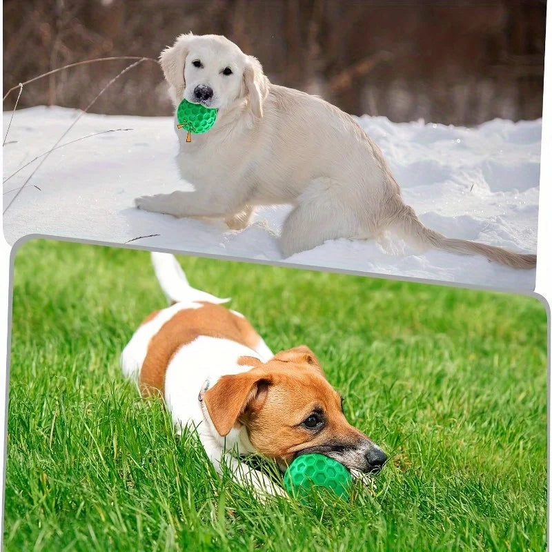 Iron Paw Fetch Ball size comparison for large breeds