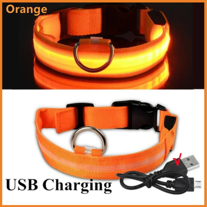Iron Paw USB Rechargeable LED Safety Collar