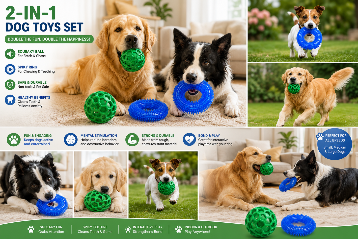 Iron Paw Complete Bundle — Fetch Ball + Chew Ring