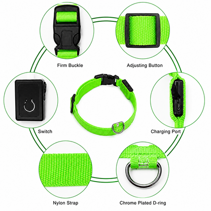 Iron Paw USB Rechargeable LED Safety Collar