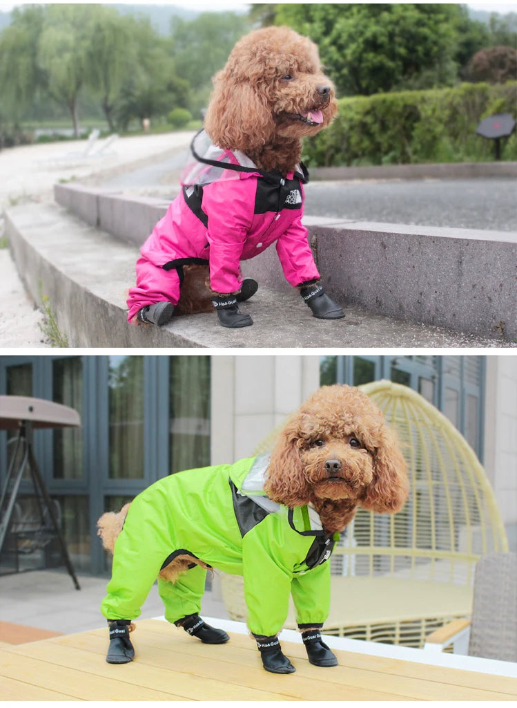 Iron Paw Lightweight Waterproof Dog Jacket