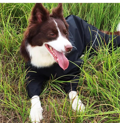 Iron Paw Waterproof Reflective Dog Raincoat