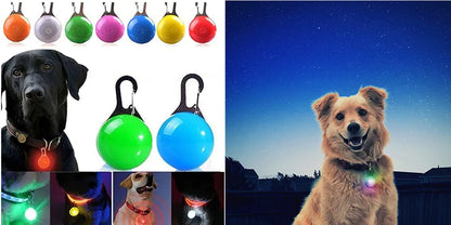 Iron Paw USB Rechargeable LED Safety Collar