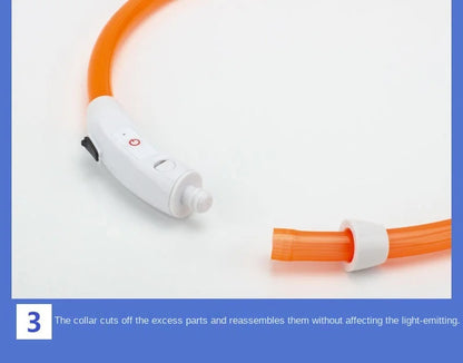 Iron Paw USB Rechargeable LED Safety Collar