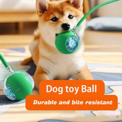 Iron Paw Smart Auto-Rolling Dog Ball