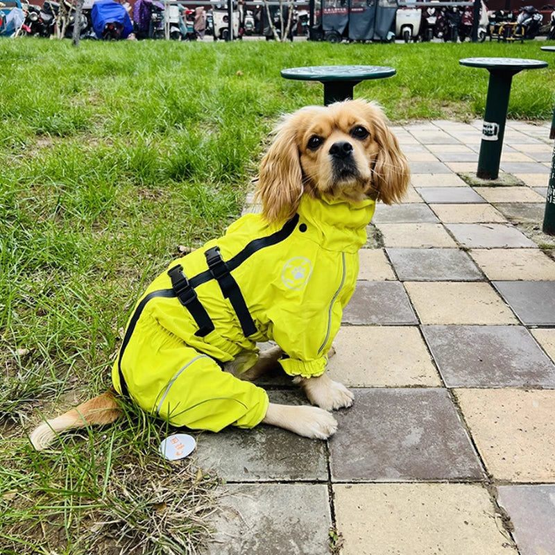 Iron Paw Waterproof Reflective Dog Raincoat