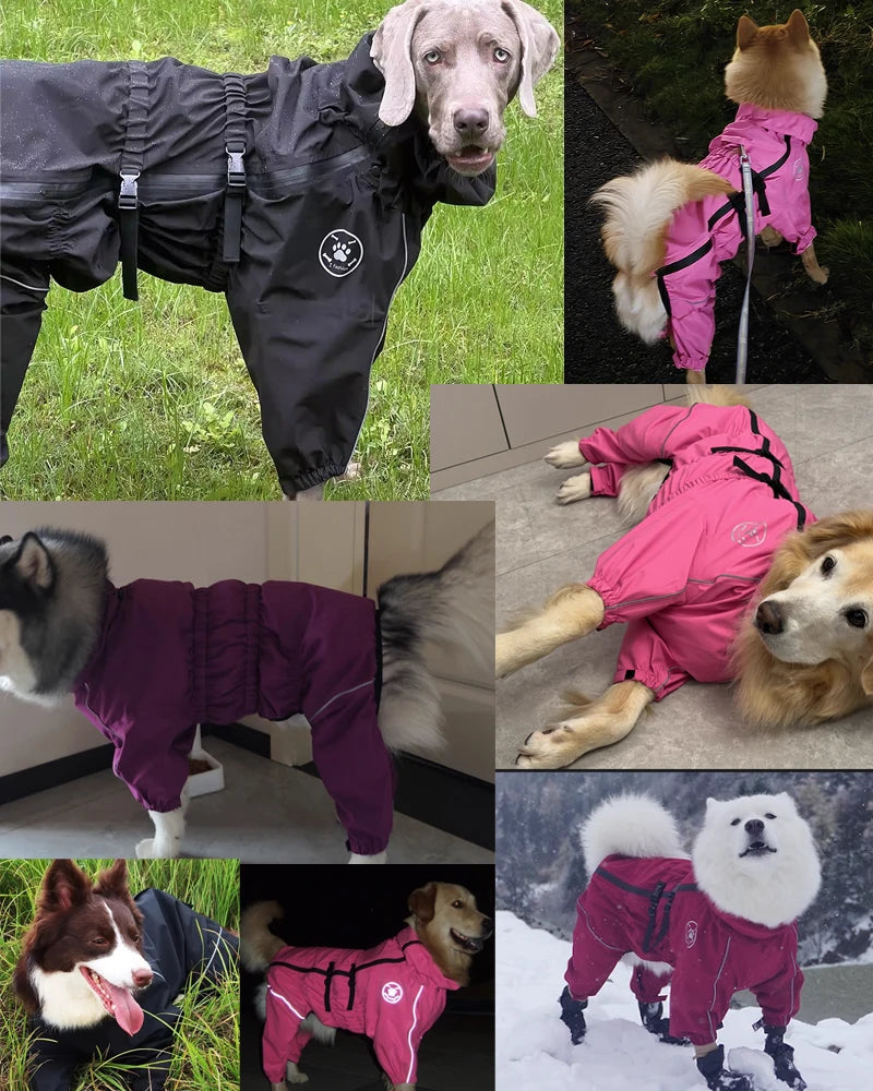 Iron Paw Waterproof Reflective Dog Raincoat