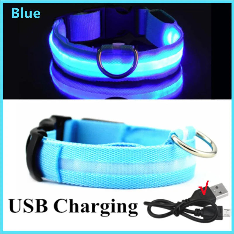 Iron Paw USB Rechargeable LED Safety Collar