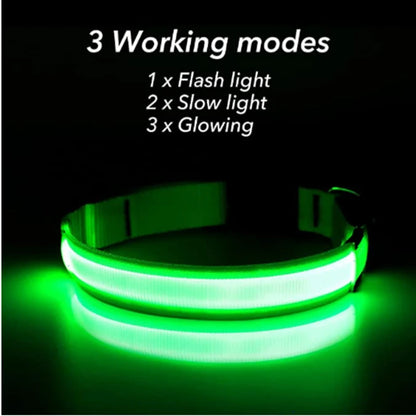 Iron Paw USB Rechargeable LED Safety Collar
