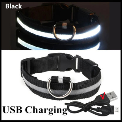 Iron Paw USB Rechargeable LED Safety Collar