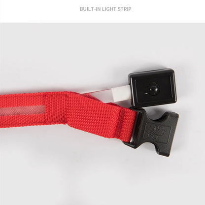 Iron Paw USB Rechargeable LED Safety Collar