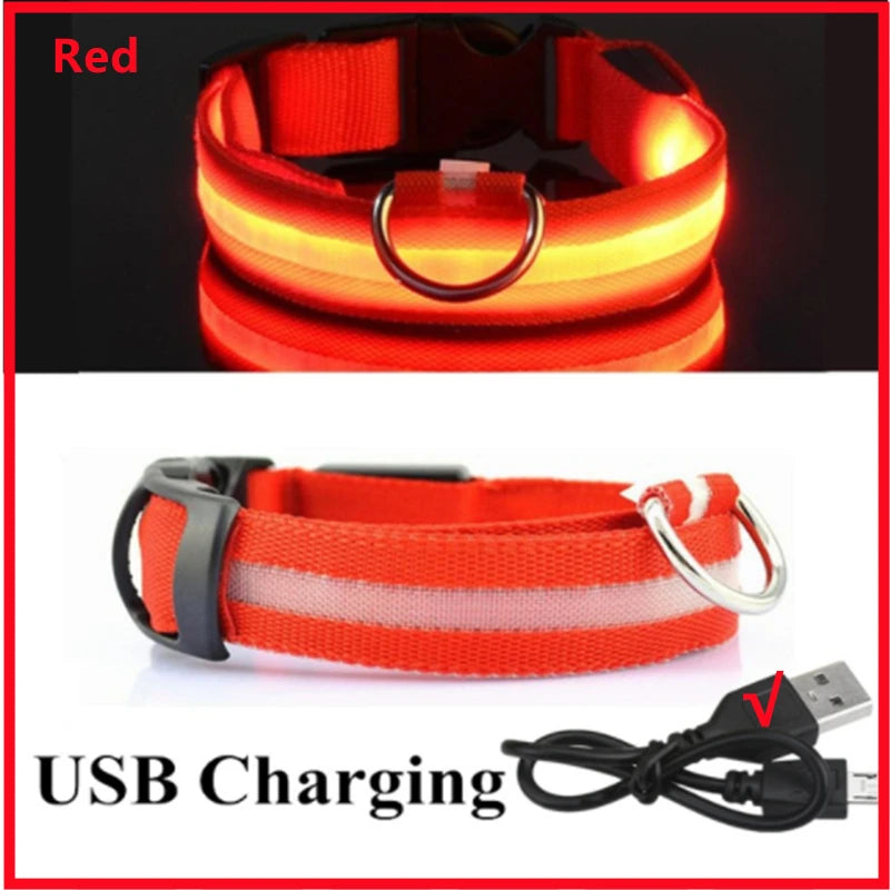 Iron Paw USB Rechargeable LED Safety Collar