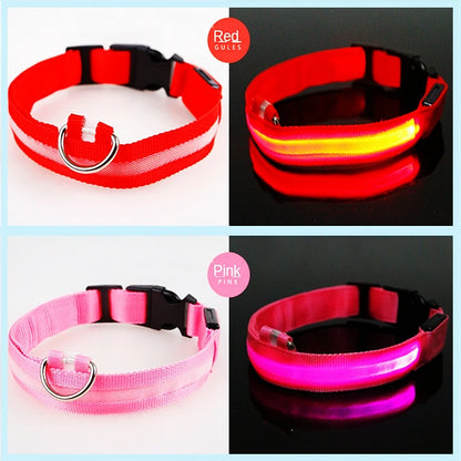 Iron Paw USB Rechargeable LED Safety Collar