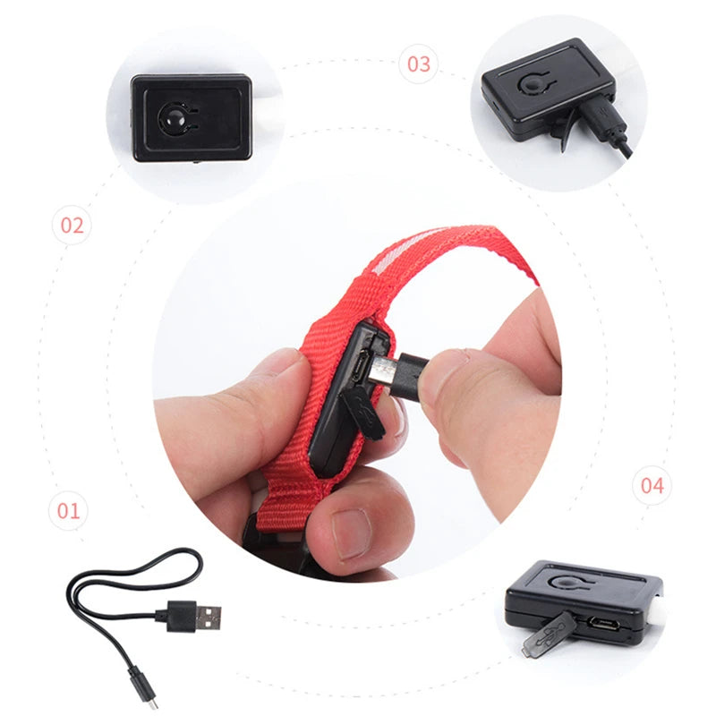 Iron Paw USB Rechargeable LED Safety Collar