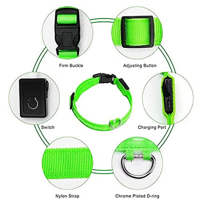 Iron Paw USB Rechargeable LED Safety Collar
