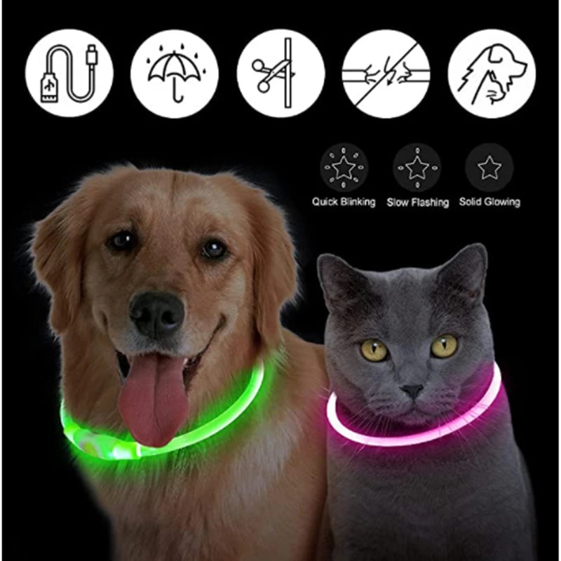 Iron Paw USB Rechargeable LED Safety Collar