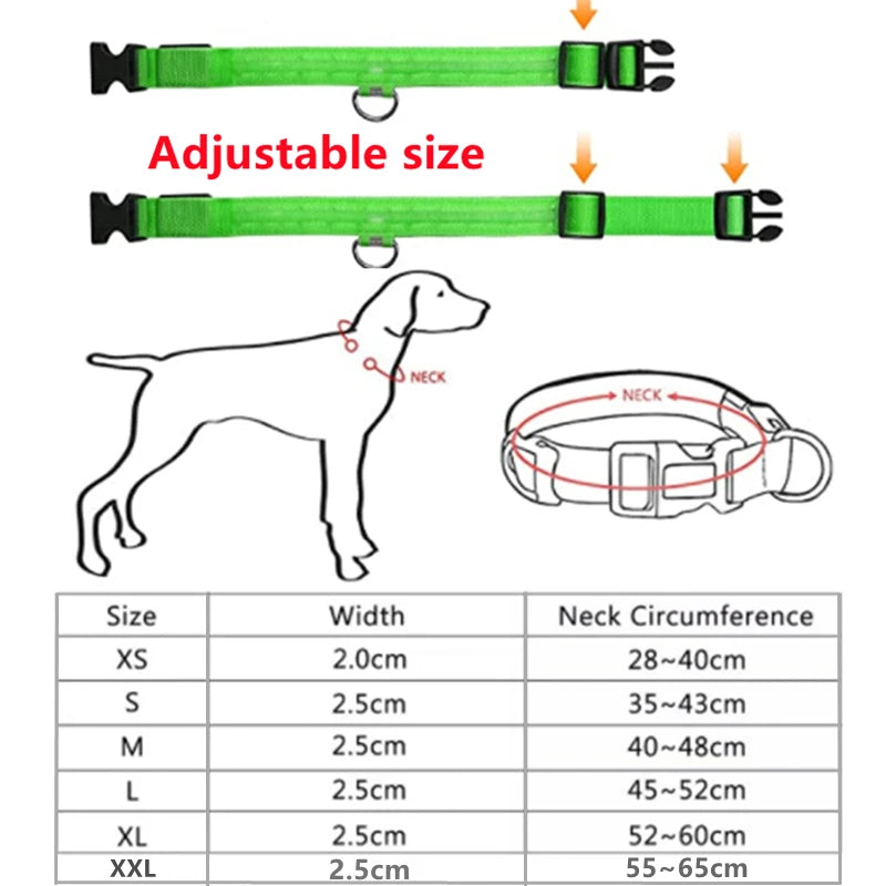 Iron Paw USB Rechargeable LED Safety Collar