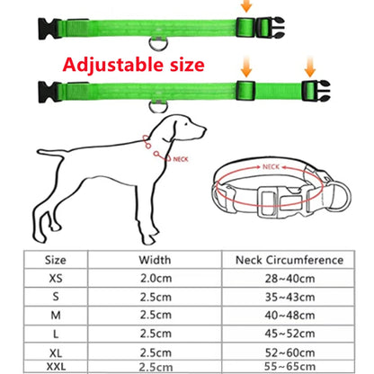 Iron Paw USB Rechargeable LED Safety Collar