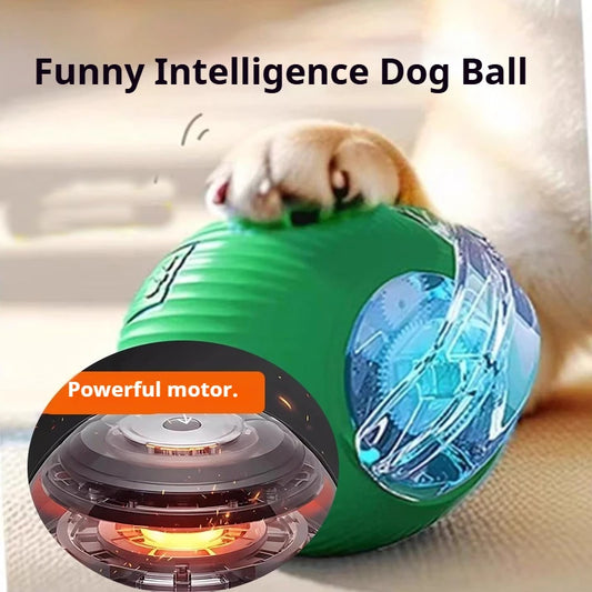 Iron Paw Smart Auto-Rolling Dog Ball