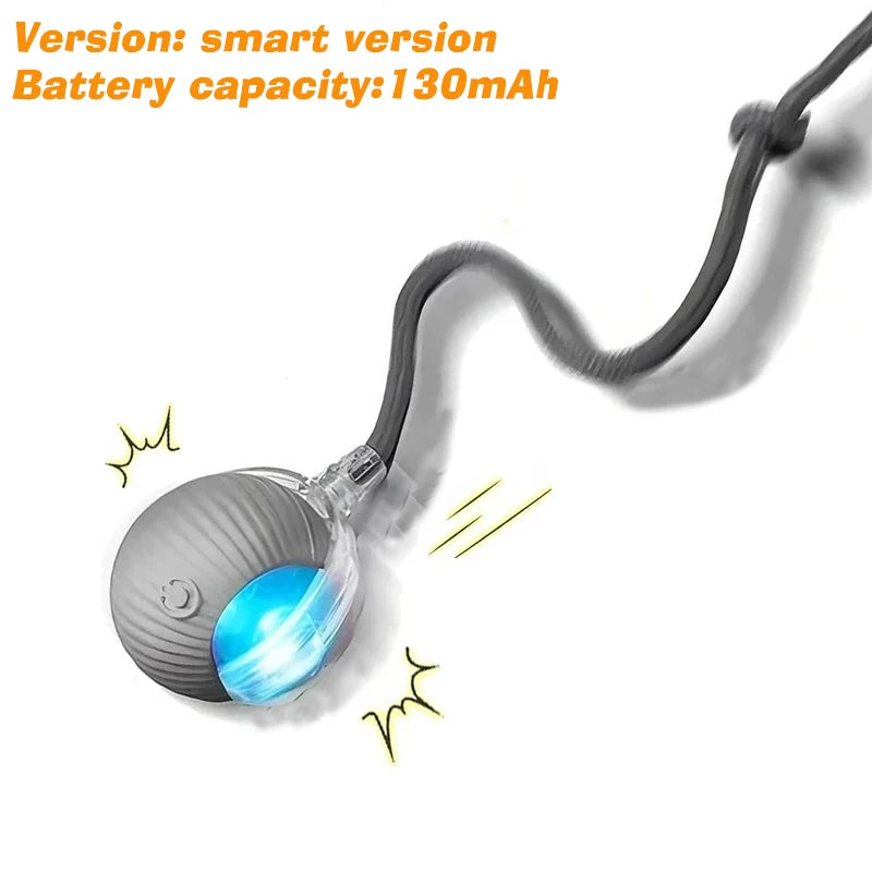 Iron Paw Smart Auto-Rolling Dog Ball