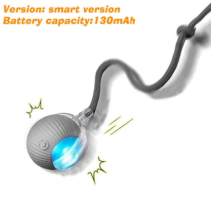 Iron Paw Smart Auto-Rolling Dog Ball