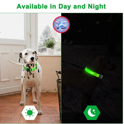 Iron Paw USB Rechargeable LED Safety Collar