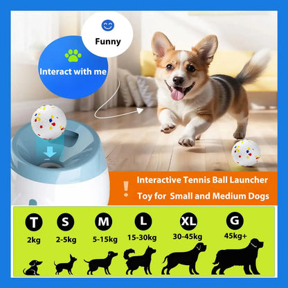 Iron Paw Automatic Tennis Ball Launcher