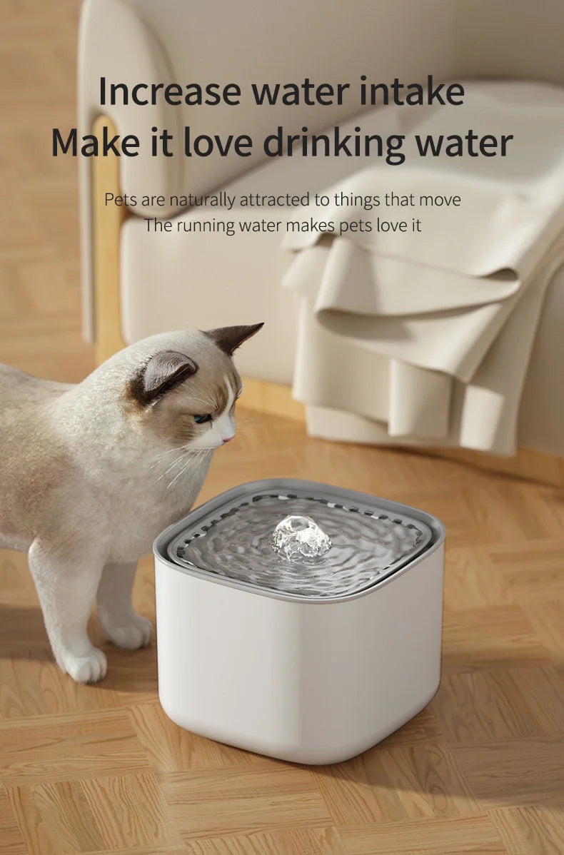 3L Filtered Pet Water Fountain — USB Circulating Dispenser