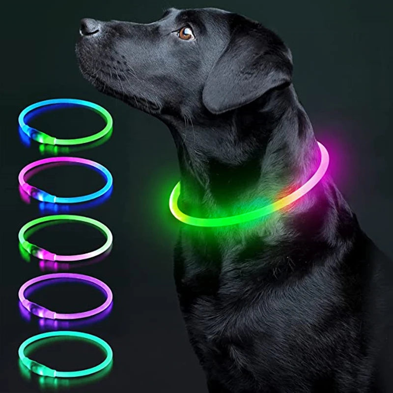 Iron Paw USB Rechargeable LED Safety Collar