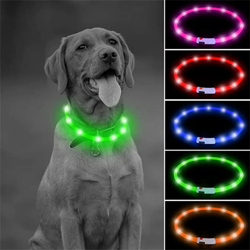 Iron Paw USB Rechargeable LED Safety Collar