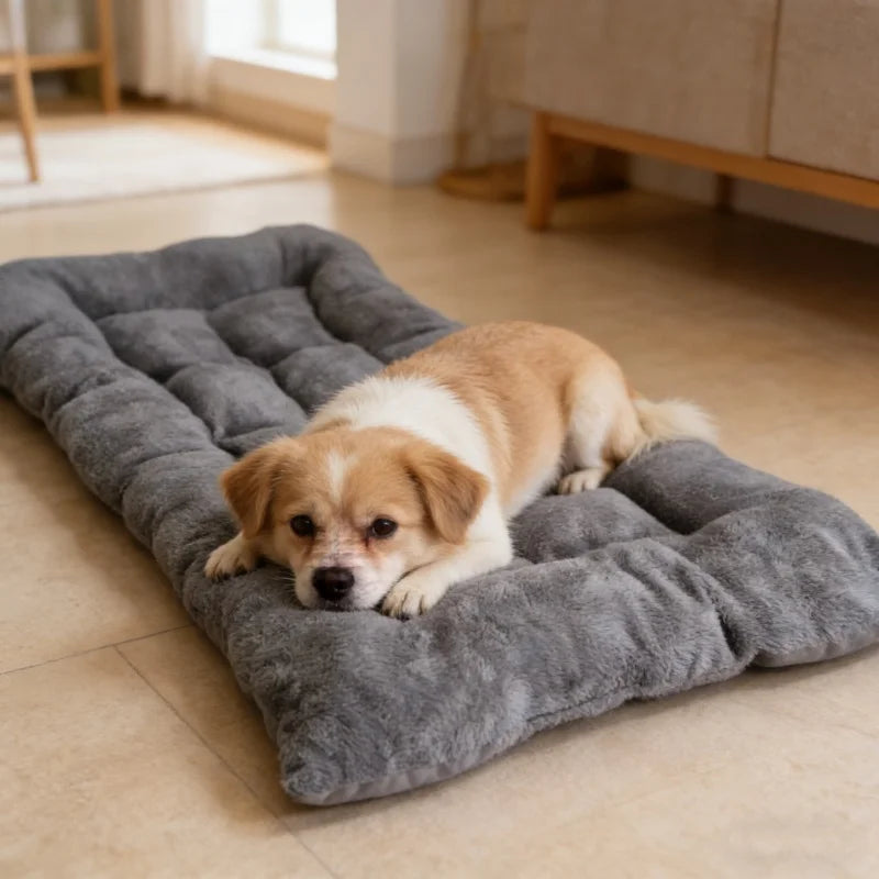 Iron Paw Plush Cotton Pet Sofa Bed
