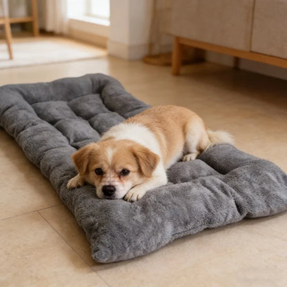 Iron Paw Plush Cotton Pet Sofa Bed