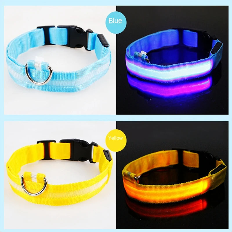 Iron Paw USB Rechargeable LED Safety Collar