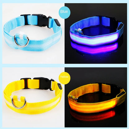 Iron Paw USB Rechargeable LED Safety Collar