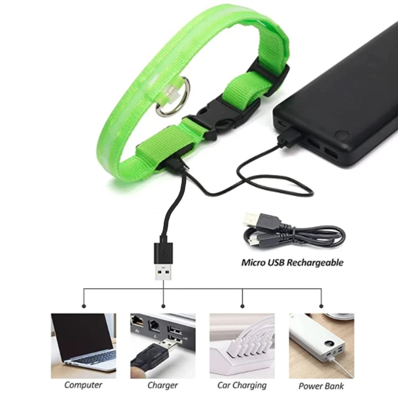 Iron Paw USB Rechargeable LED Safety Collar