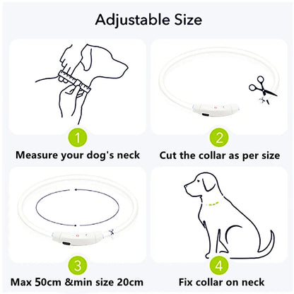 Iron Paw USB Rechargeable LED Safety Collar