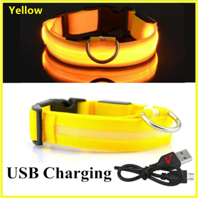 Iron Paw USB Rechargeable LED Safety Collar