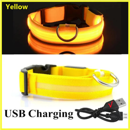 Iron Paw USB Rechargeable LED Safety Collar