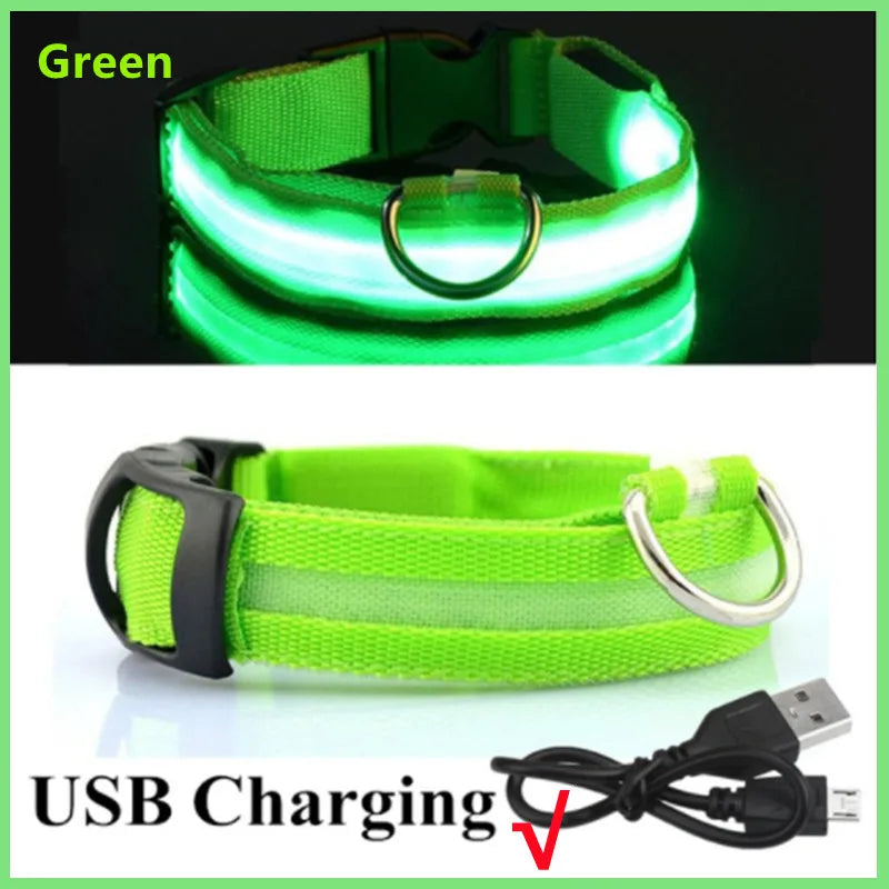 Iron Paw USB Rechargeable LED Safety Collar
