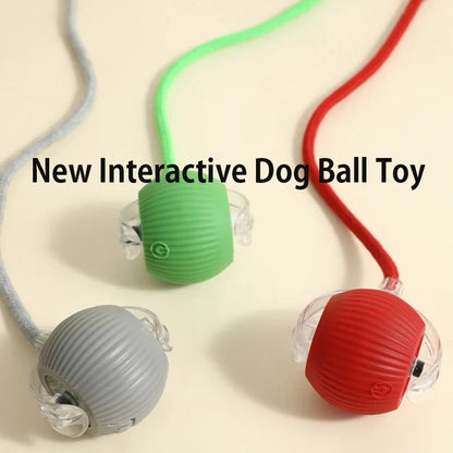 Iron Paw Smart Auto-Rolling Dog Ball