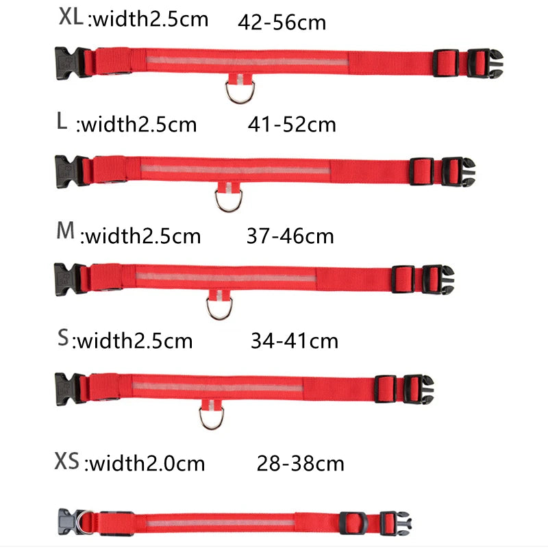 Iron Paw USB Rechargeable LED Safety Collar