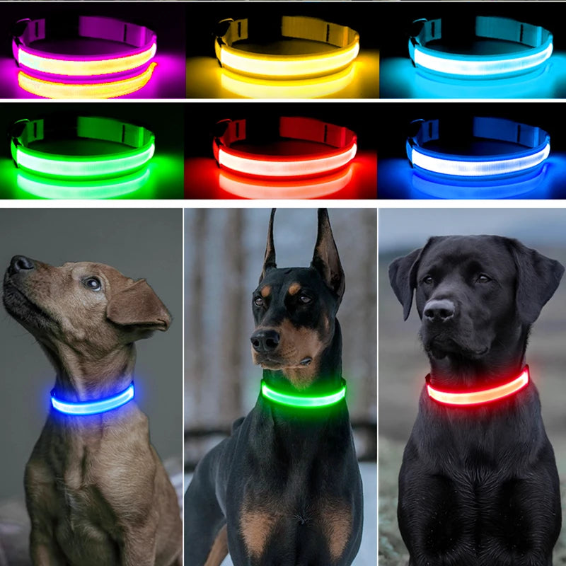 Iron Paw USB Rechargeable LED Safety Collar