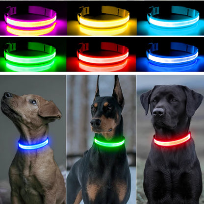 Iron Paw USB Rechargeable LED Safety Collar