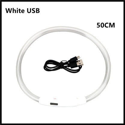 Iron Paw USB Rechargeable LED Safety Collar