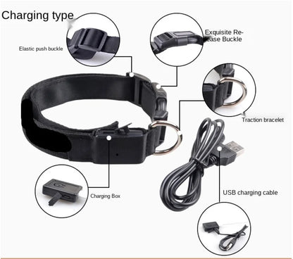 Iron Paw USB Rechargeable LED Safety Collar