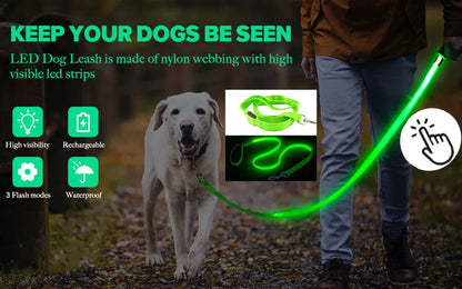 Iron Paw USB Rechargeable LED Safety Collar