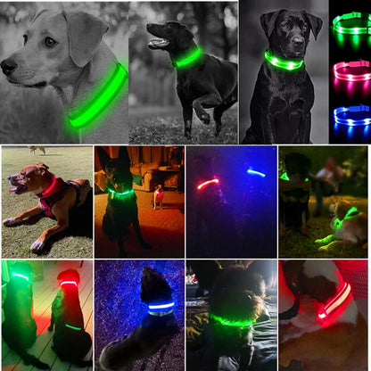 Iron Paw USB Rechargeable LED Safety Collar