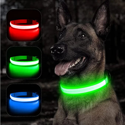 Iron Paw USB Rechargeable LED Safety Collar